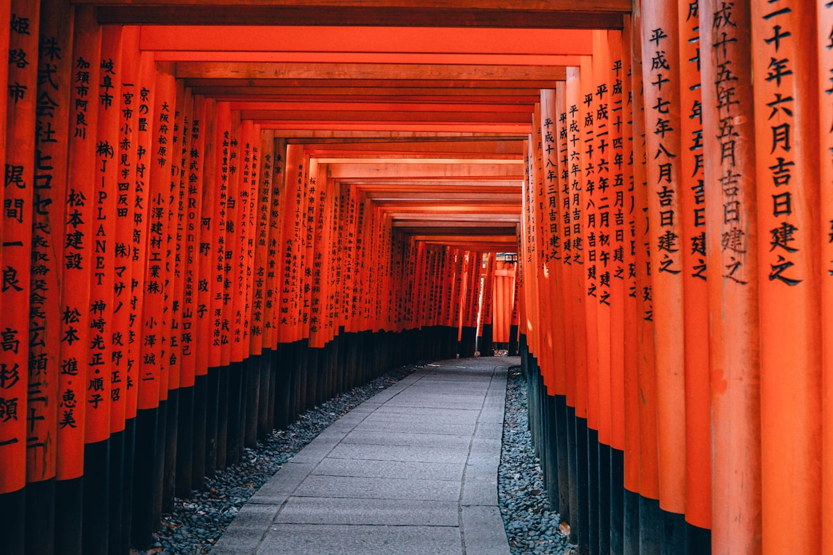 Thousand torii gates